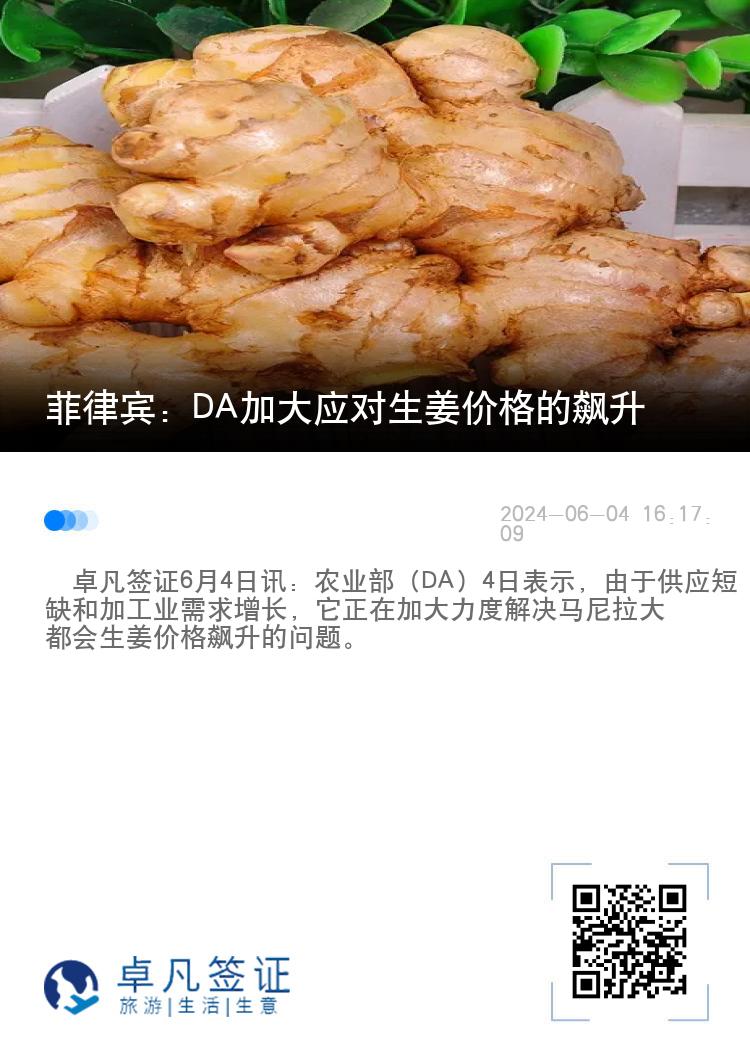 菲律宾：DA加大应对生姜价格的飙升
