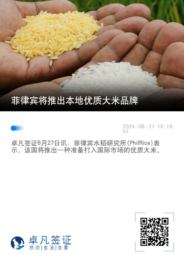 菲律宾将推出本地优质大米品牌