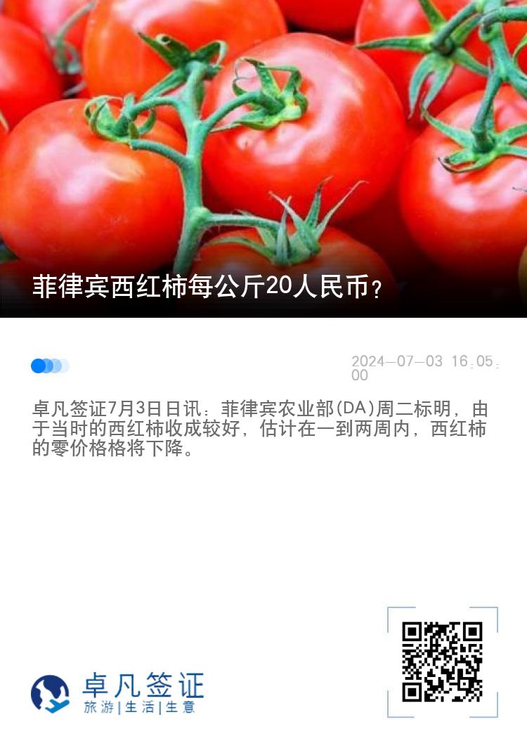 菲律宾西红柿每公斤20人民币?