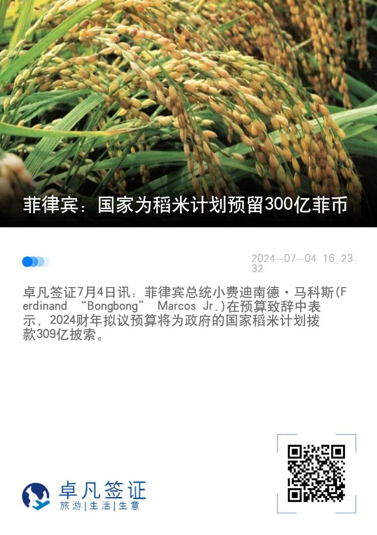 菲律宾：国家为稻米计划预留300亿菲币
