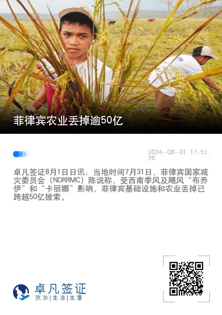 菲律宾农业丢掉逾50亿