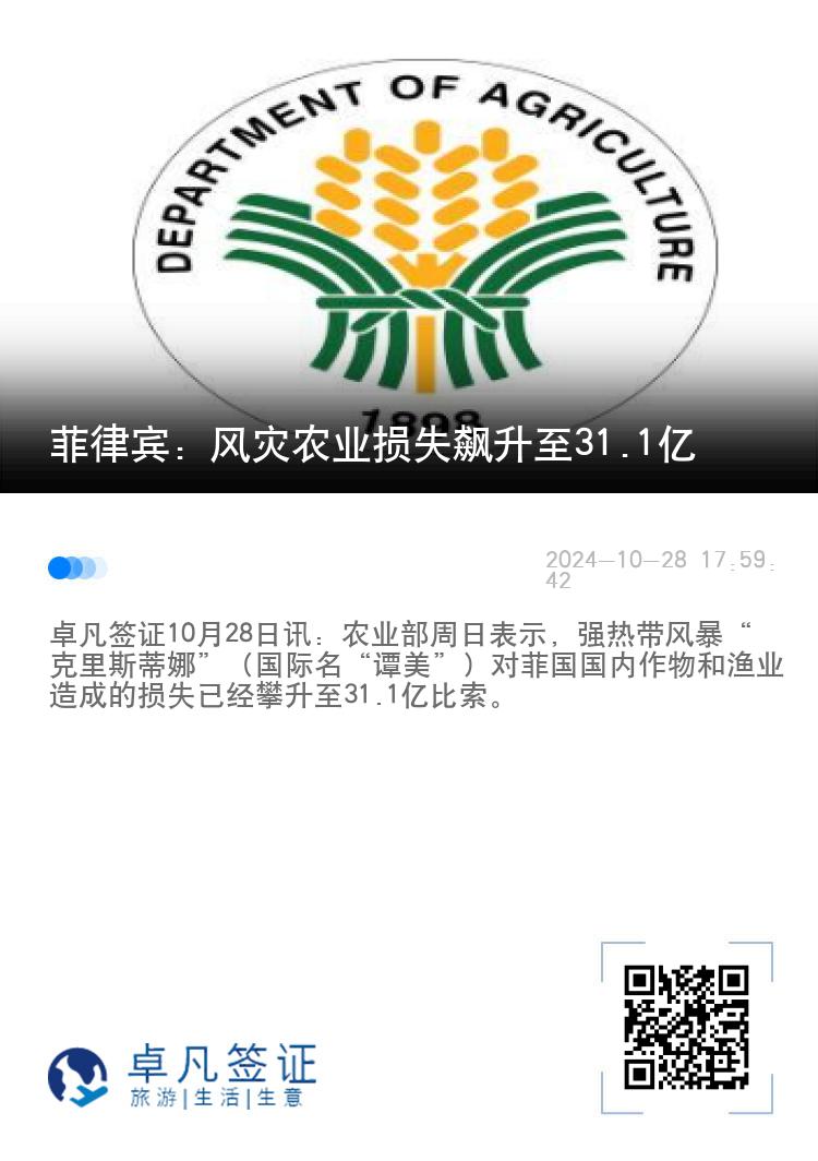 菲律宾：风灾农业损失飙升至31.1亿