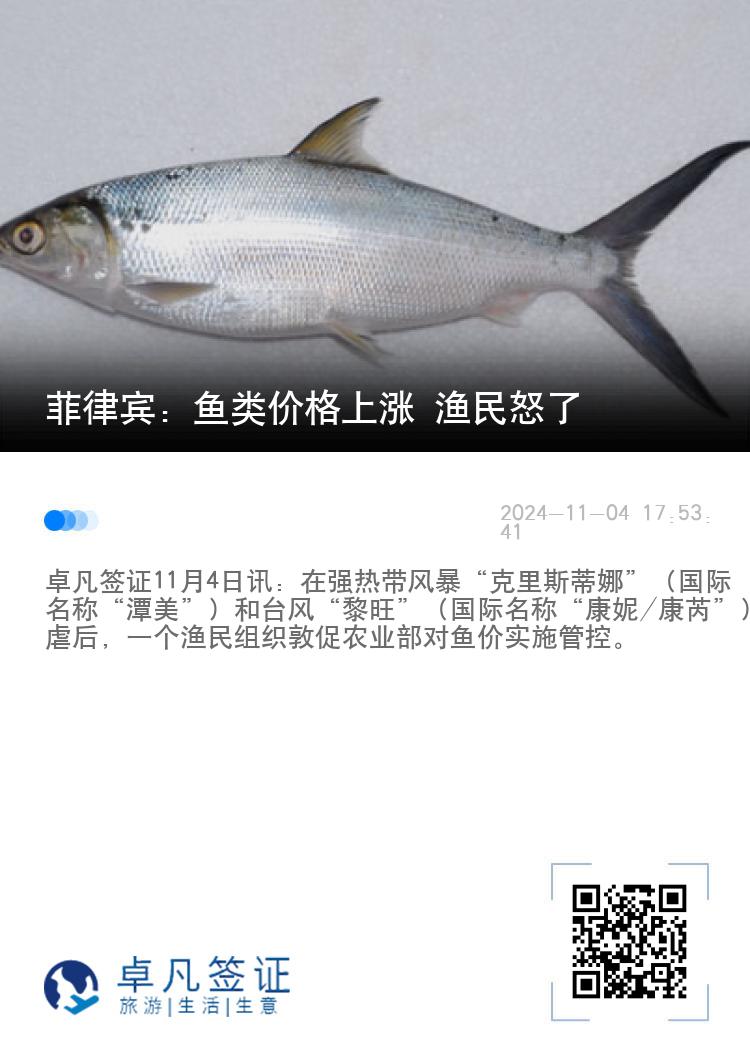 菲律宾：鱼类价格上涨 渔民怒了