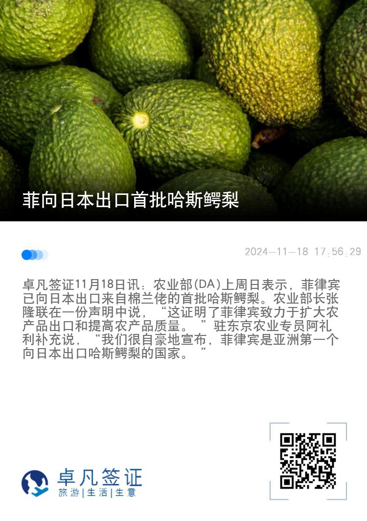 菲向日本出口首批哈斯鳄梨