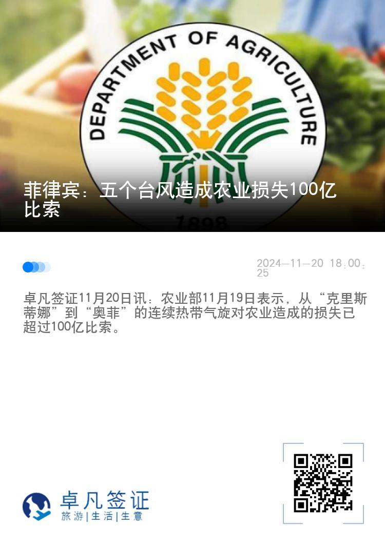 菲律宾：五个台风造成农业损失100亿比索