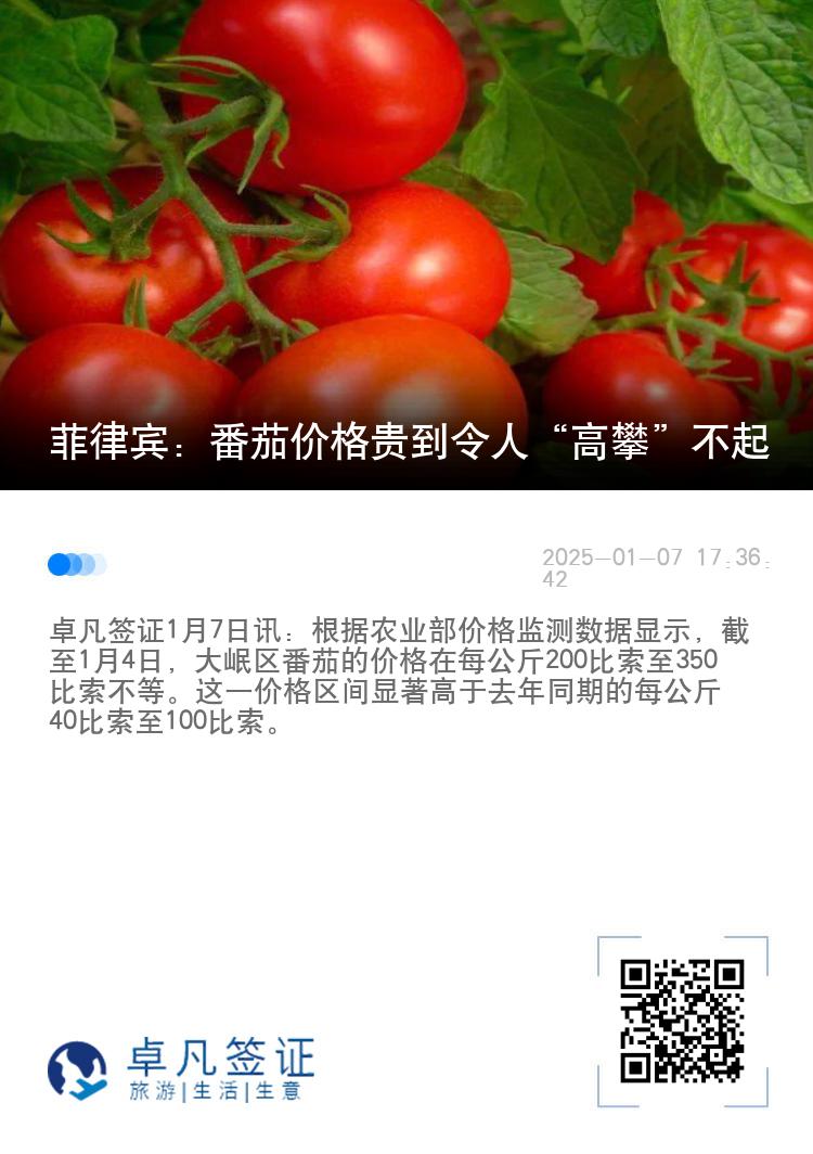 菲律宾：番茄价格贵到令人“高攀”不起