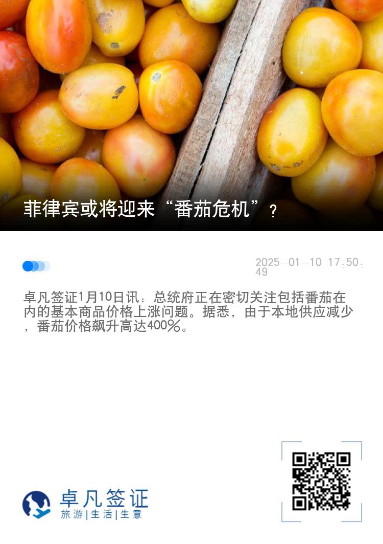 菲律宾或将迎来“番茄危机”？