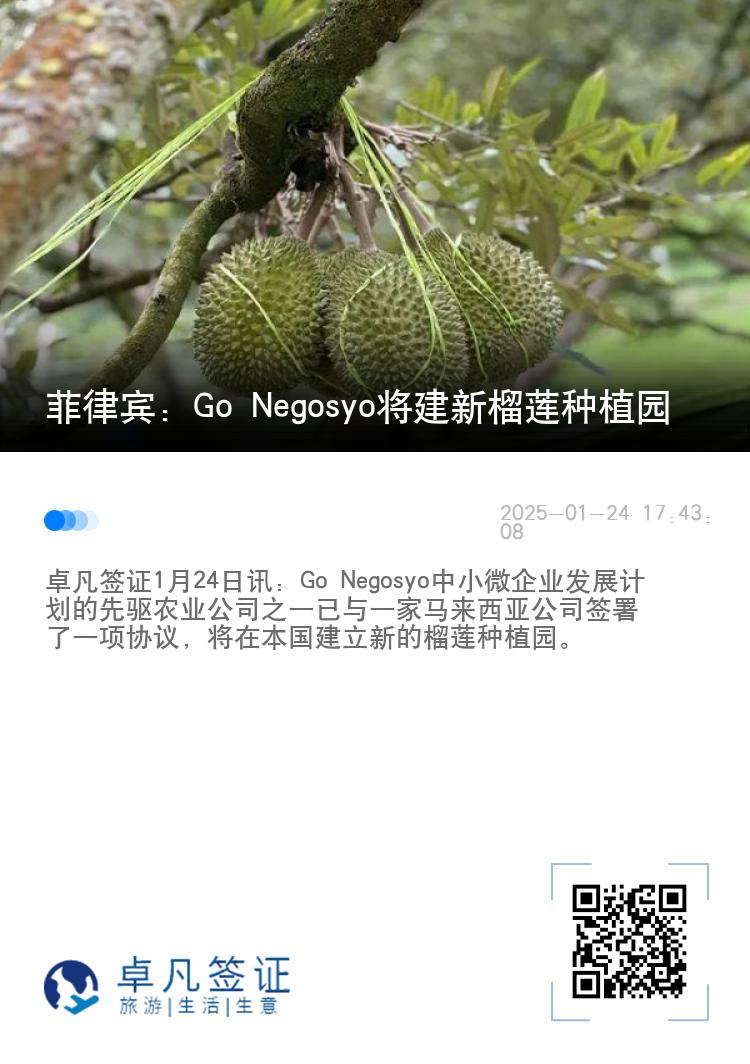 菲律宾：Go Negosyo将建新榴莲种植园